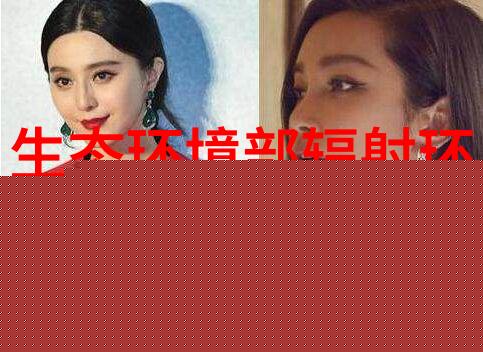 新疆生产建设兵团发布2024年第二批生态环境违法典型案例