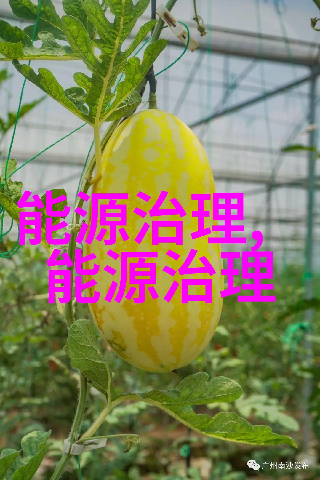 美拟对东南亚四国光伏产品征收反倾销税