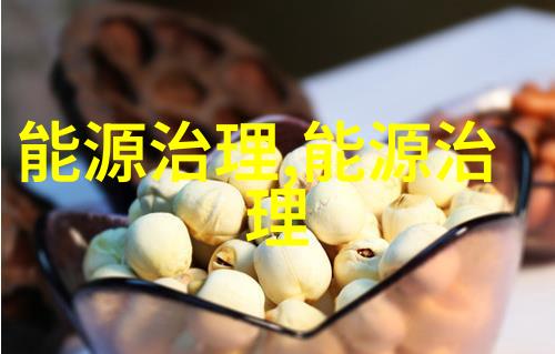 隆基李振国光伏天生与ESG正相关
